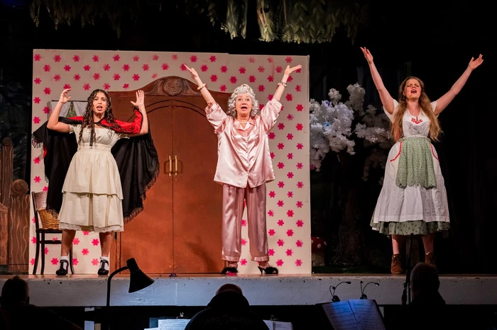 TAOS Red Riding Hood Pantomime 2025